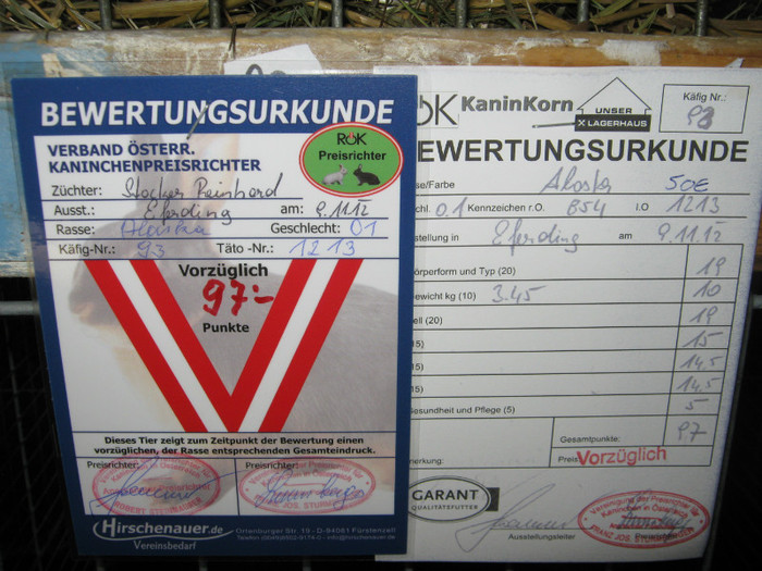 austellung-nov 057