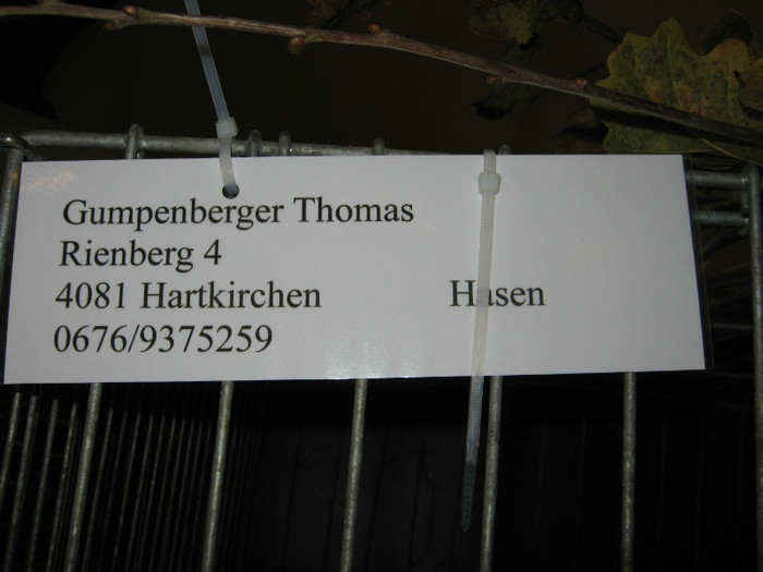 austellung-nov 059