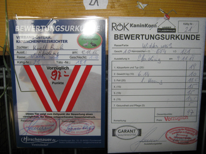 austellung-nov 078 - E-54-nov --2011-2012-2013-2014