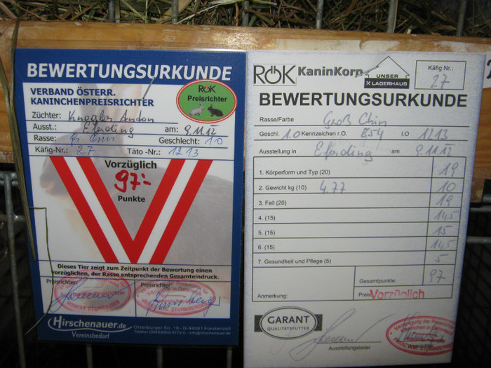 austellung-nov 081
