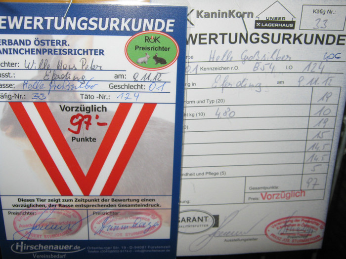 austellung-nov 083 - E-54-nov --2011-2012-2013-2014