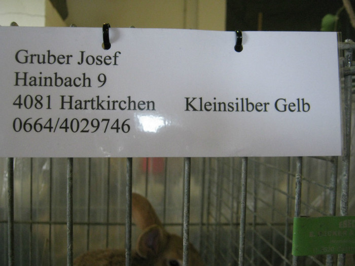 austellung-nov 111