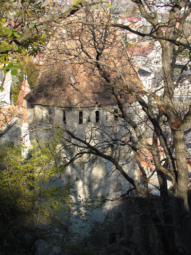 Sighisoara - Contact-Sighisoara