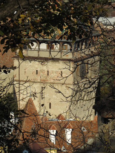 Sighisoara - Contact-Sighisoara