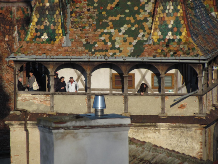 Sighisoara - Contact-Sighisoara