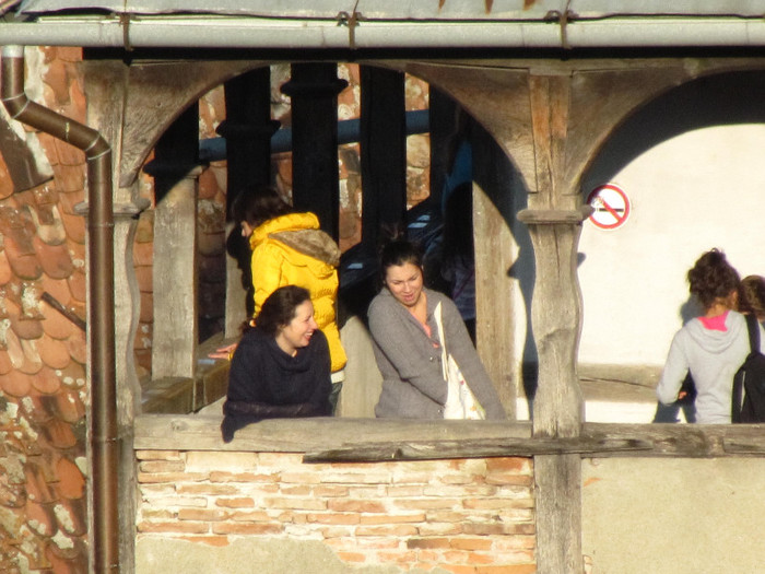 Sighisoara - Contact-Sighisoara