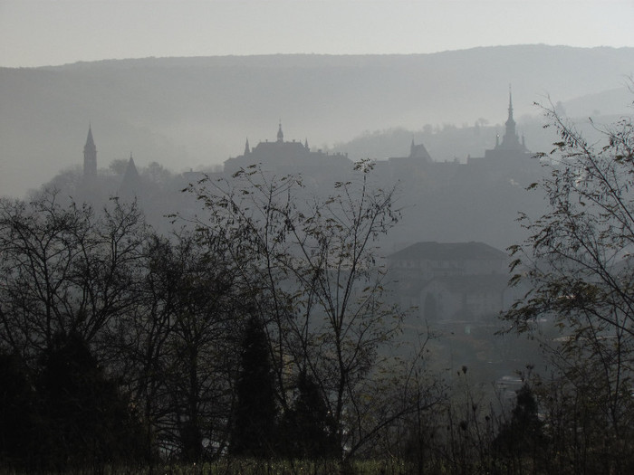 Sighisoara - Contact-Sighisoara