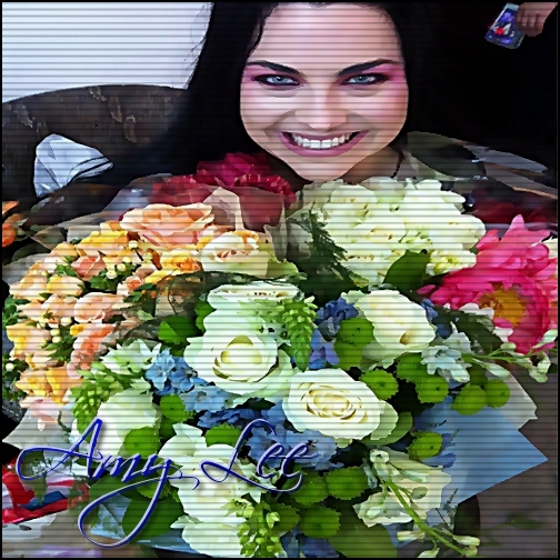 - . Day 35 . Ora 14;3o . 14 . 11 . 2o12 .