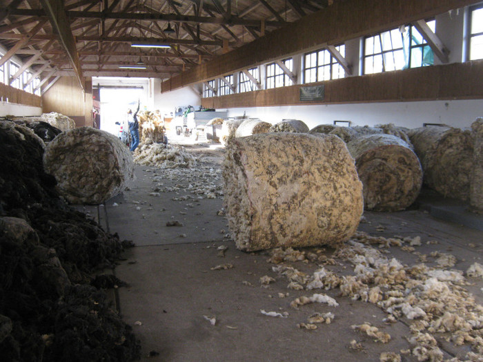 achizitie de lana de la fermieri