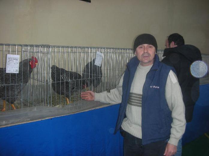 43 - O- Expozitie Turda 2012