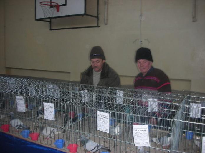 52 - O- Expozitie Turda 2012