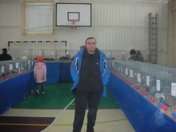 53 - O- Expozitie Turda 2012