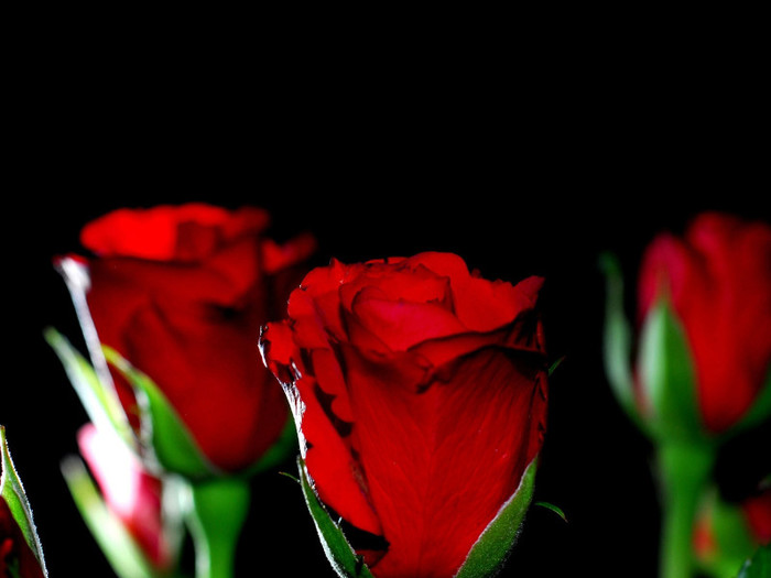 kiss-from-a-rose-sheet-music-1600x1200 - Desktop Nou