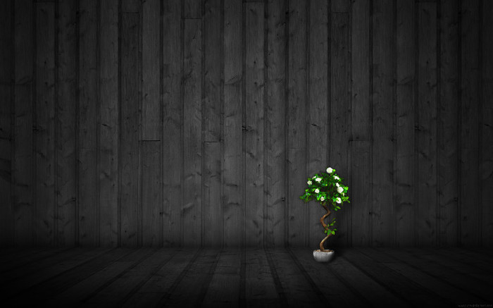 unnamed--4d396ef71c
