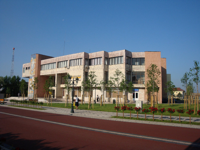 Casa tineretului