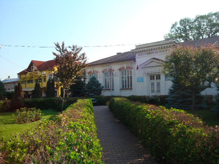 DSC08790