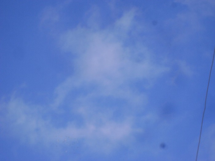 DSC08926 - POZE 2011