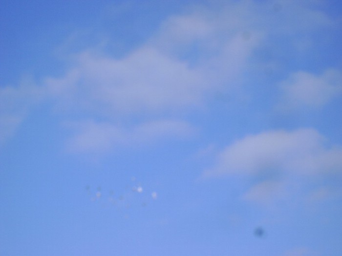 DSC08931 - POZE 2011