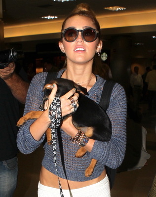 normal_1 (1) - At LAX Airport in Los Angeles 2012