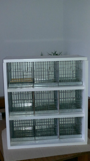012 - colivii de vanzare pentru pasari de apartament