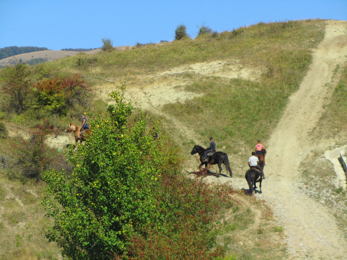 IMG_4487 - echitatie in bucegi