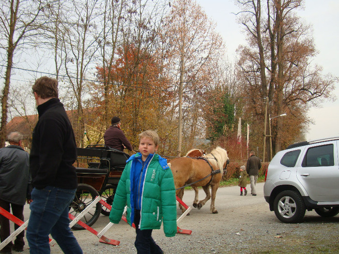 DSC05911 - u EXPOZITIE PIBER AUSTRIA 9  10  11    NOI 2012