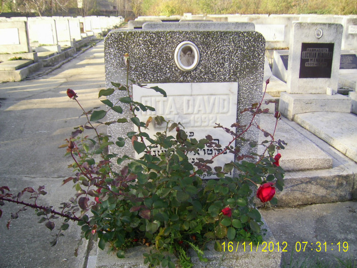 PIC_0061 - Cimitirul evreiesc de rit sefard