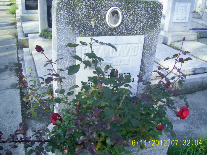 PIC_0065 - Cimitirul evreiesc de rit sefard
