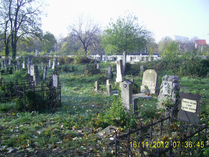 PIC_0068 - Cimitirul evreiesc de rit sefard