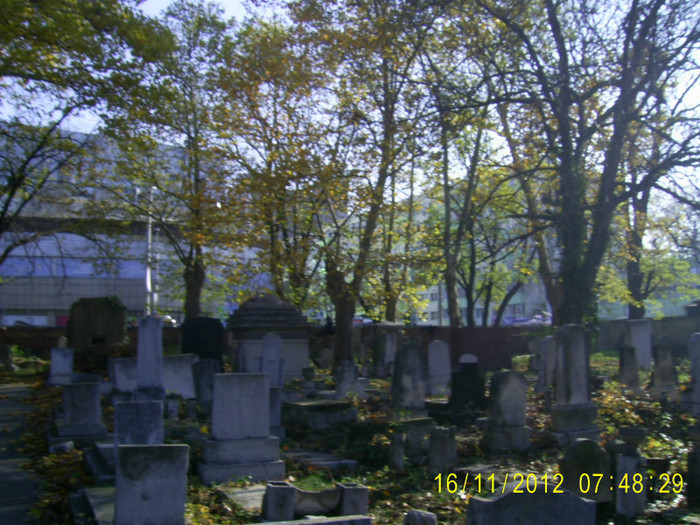 PIC_0090 - Cimitirul evreiesc de rit sefard
