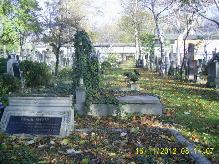 Cimitirul evanghelic lutheran - anasstasia