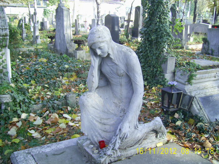 PIC_0135 - Cimitirul evanghelic lutheran