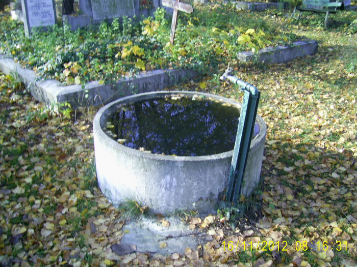 PIC_0142 - Cimitirul evanghelic lutheran