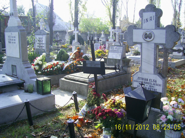 PIC_0147 - Cimitirul evanghelic lutheran
