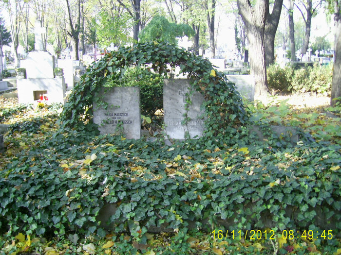 PIC_0157 - Cimitirul evanghelic lutheran