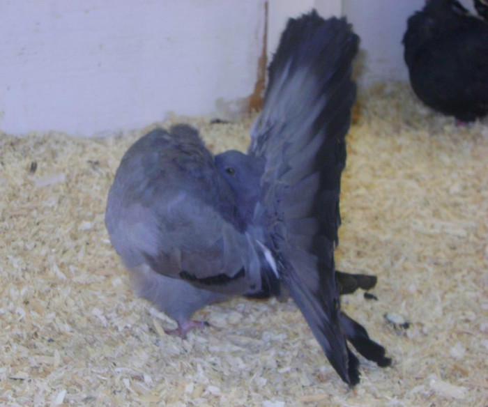 230420_288615647914324_54127688_n