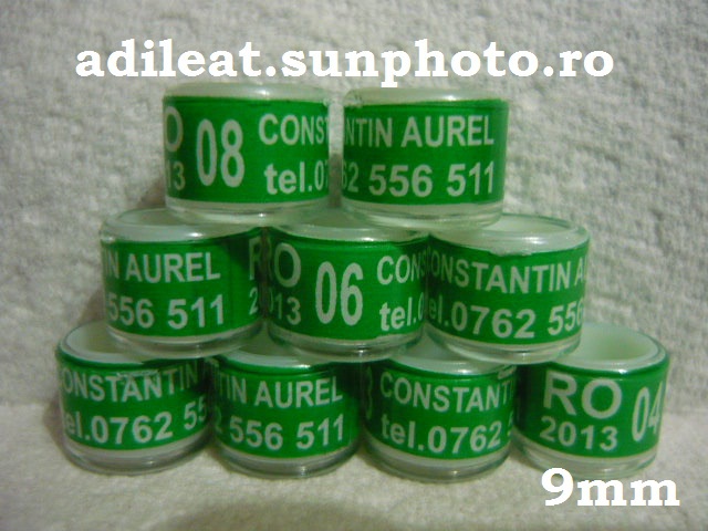 www.adileat.sunphoto.ro