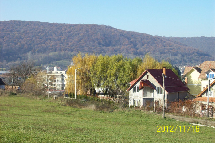 101_1941 - toamna tarzie  in 2012