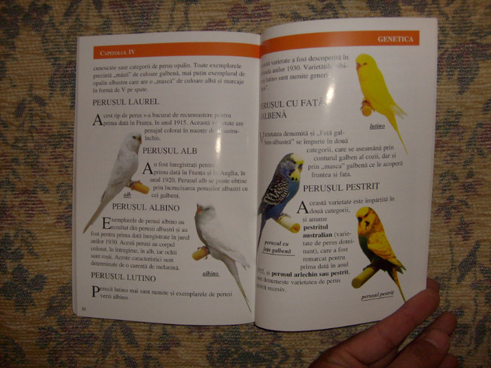 i - L1 - Literatura - ornitologie