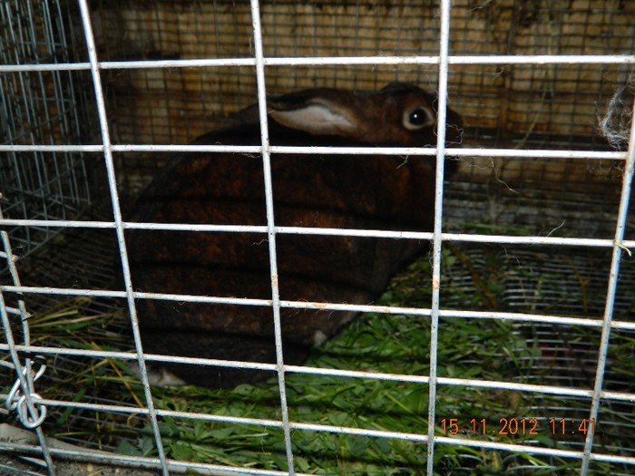 DSCN0271