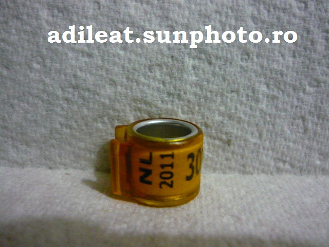 GOLD-2011 - OLANDA-GOLD-ring collection