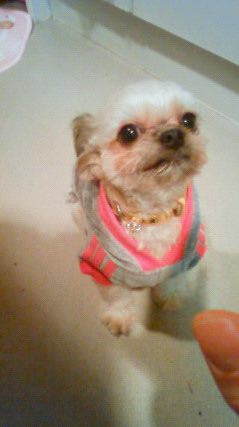 314375_266308546735729_197536793612905_857881_1794614255_n