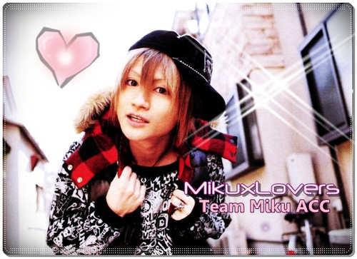 316063_266307476735836_197536793612905_857832_189152396_n