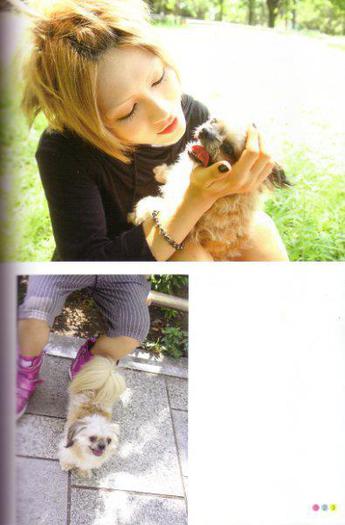 406012_315827985118833_270934709608161_1113059_1251173357_n