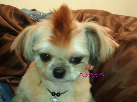 407331_347461541955477_270934709608161_1205197_578817915_n