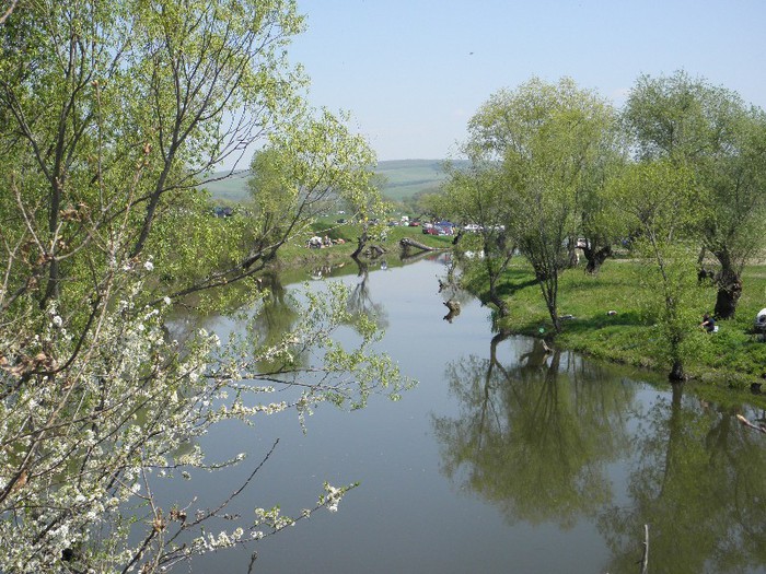 poza 156 - PESCUIT 2012