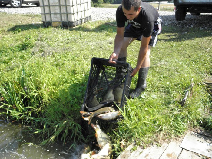 poza 217 - PESCUIT 2012