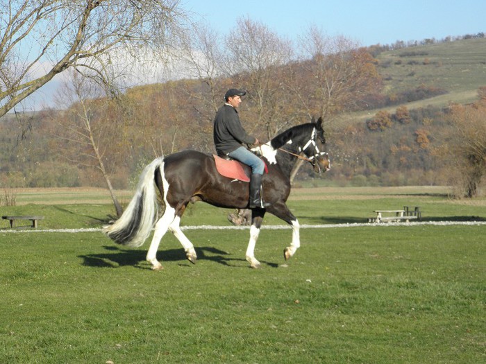 poza 108