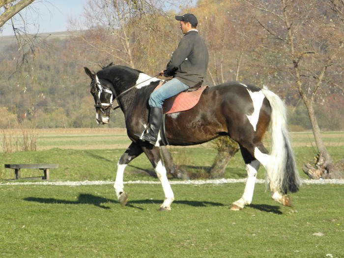 poza 125