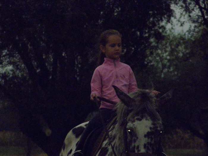 poza 311